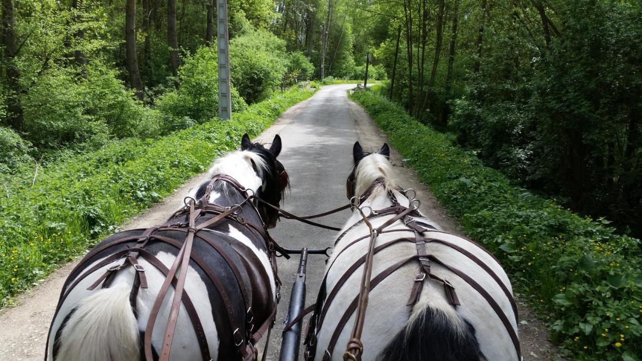 Hotel Les Chevaux De L'Hippocampe Mont-Dol Esterno foto